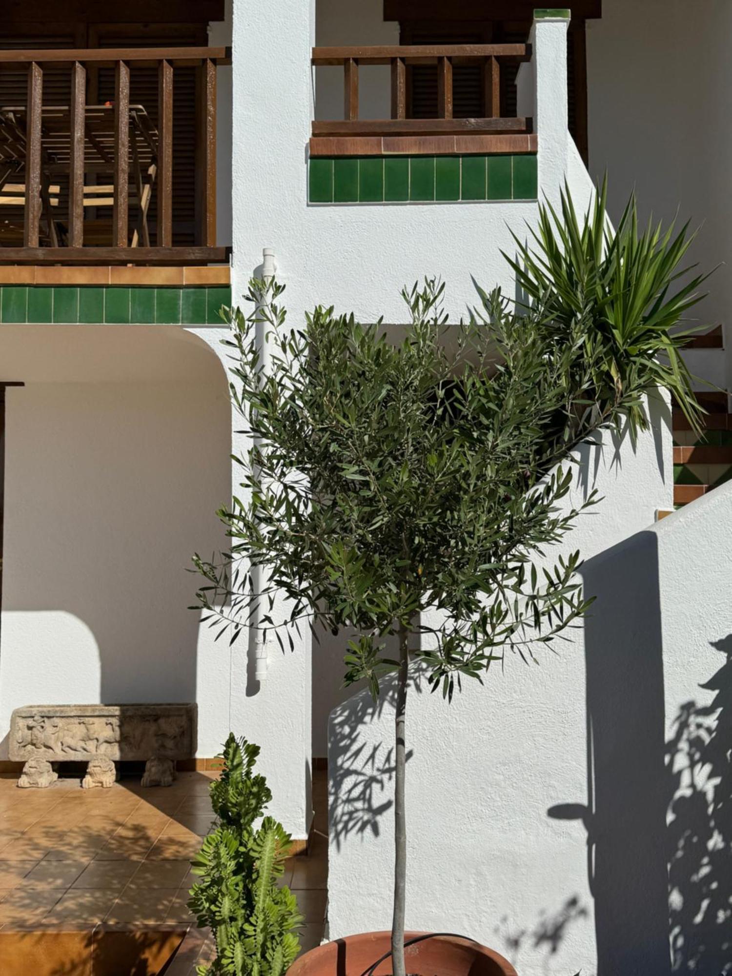 Espectacular Sunny House In The Beach Cunit Exterior photo
